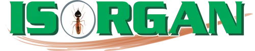 Isorgan
